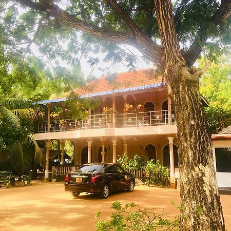 New Land Guest House باتيكالوا المظهر الخارجي الصورة